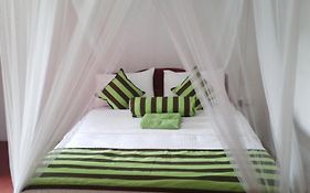 Jungle View Cottage